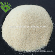 High Quality Granulated Garlic G2